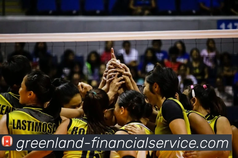 开云官方登陆入口平台生态图